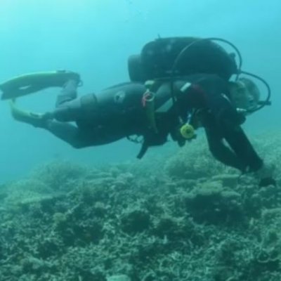 Volunteer scientists survey the Great Barrier Reef.